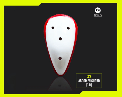 [QS] Abdomen Guard Pro