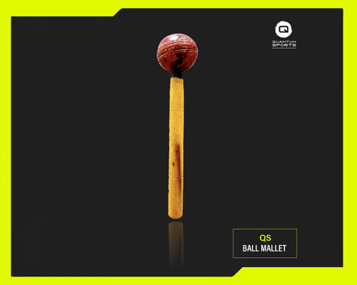 [QuantumSports] Ball Mallet