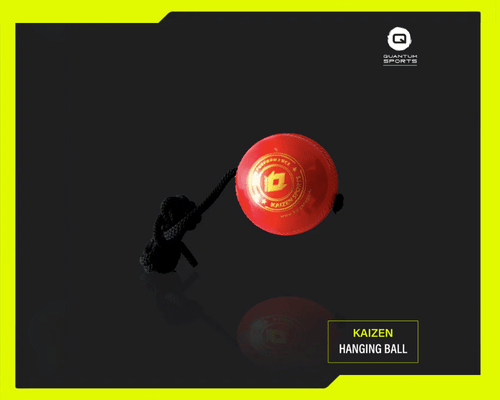 [Kaizen] Hanging Ball